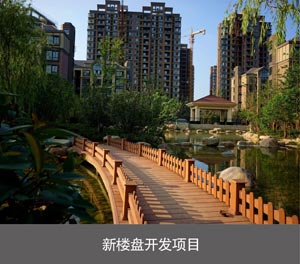二層簡(jiǎn)易升降類機(jī)械車位新樓盤開發(fā)項(xiàng)目