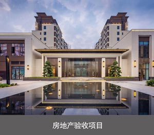 二層簡(jiǎn)易升降類機(jī)械車位房地產(chǎn)驗(yàn)收項(xiàng)目